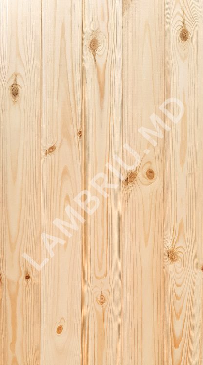 lambriu din lemn evrovagonca clas B