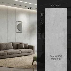 SPC_801_5